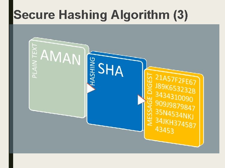 Secure Hashing Algorithm (3) 