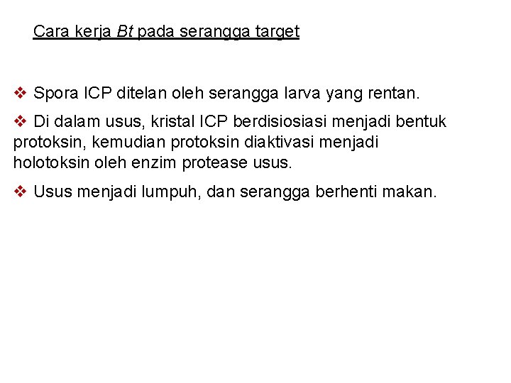 Cara kerja Bt pada serangga target v Spora ICP ditelan oleh serangga larva yang