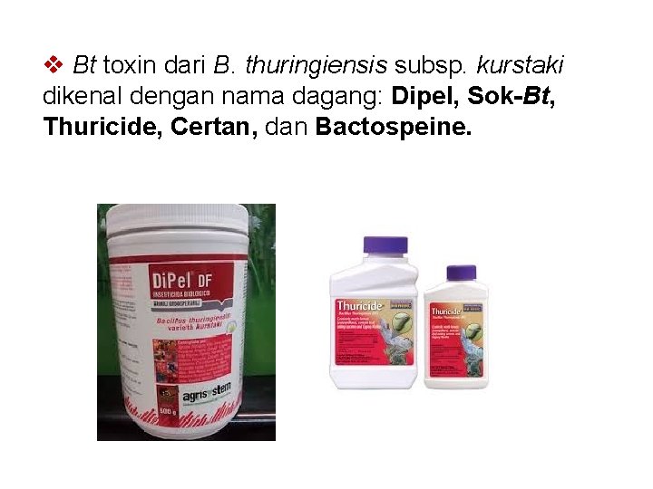 v Bt toxin dari B. thuringiensis subsp. kurstaki dikenal dengan nama dagang: Dipel, Sok-Bt,