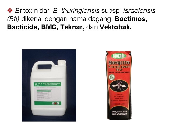 v Bt toxin dari B. thuringiensis subsp. israelensis (Bti) dikenal dengan nama dagang: Bactimos,