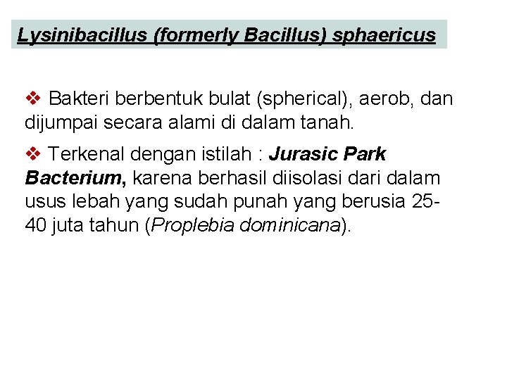 Lysinibacillus (formerly Bacillus) sphaericus v Bakteri berbentuk bulat (spherical), aerob, dan dijumpai secara alami