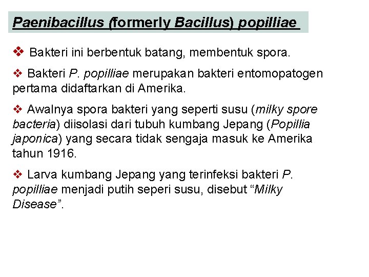 Paenibacillus (formerly Bacillus) popilliae v Bakteri ini berbentuk batang, membentuk spora. v Bakteri P.