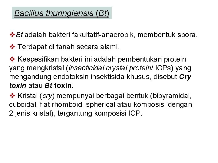 Bacillus thuringiensis (Bt) v. Bt adalah bakteri fakultatif-anaerobik, membentuk spora. v Terdapat di tanah