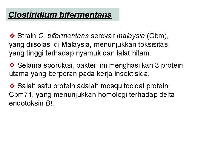 Clostiridium bifermentans v Strain C. bifermentans serovar malaysia (Cbm), yang diisolasi di Malaysia, menunjukkan