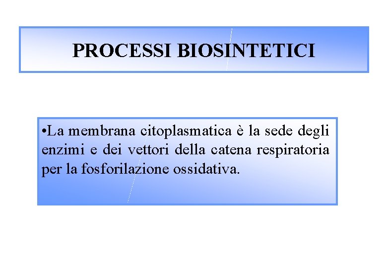 PROCESSI BIOSINTETICI • La membrana citoplasmatica è la sede degli enzimi e dei vettori