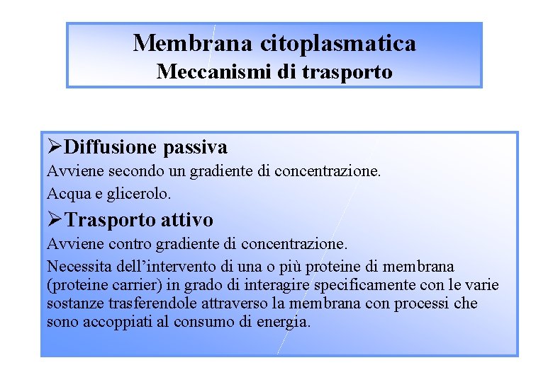 Membrana citoplasmatica Meccanismi di trasporto ØDiffusione passiva Avviene secondo un gradiente di concentrazione. Acqua