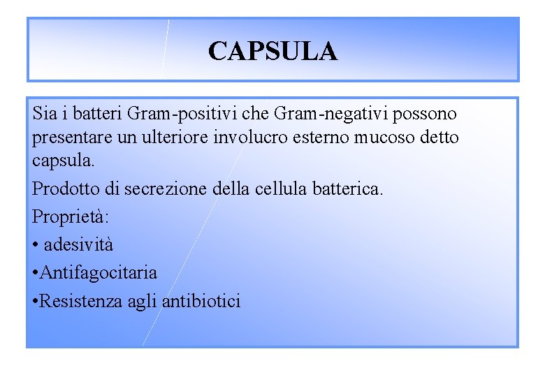 CAPSULA Sia i batteri Gram-positivi che Gram-negativi possono presentare un ulteriore involucro esterno mucoso