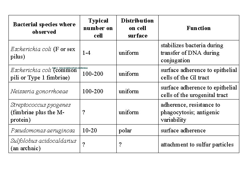 Bacterial species where observed Typical number on cell Distribution on cell surface Function uniform