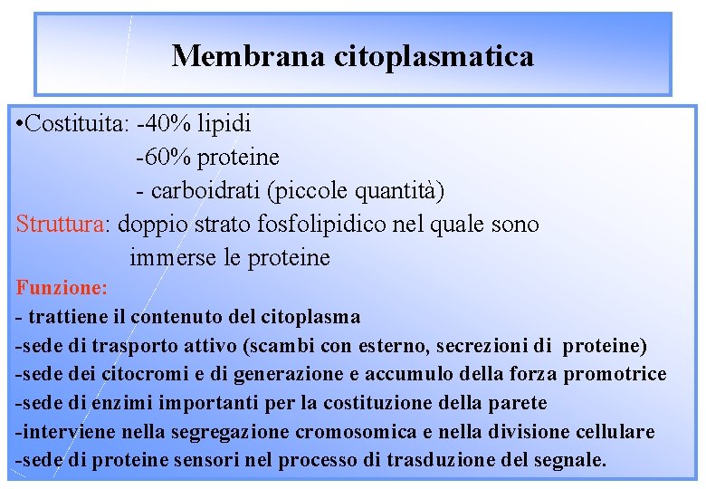 Membrana citoplasmatica • Costituita: -40% lipidi -60% proteine - carboidrati (piccole quantità) Struttura: doppio