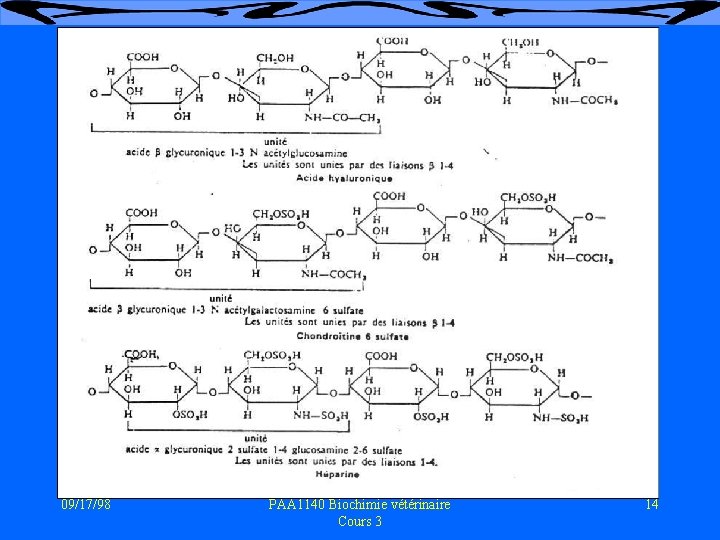 Mucopolysaccharides 09/17/98 PAA 1140 Biochimie vétérinaire Cours 3 14 