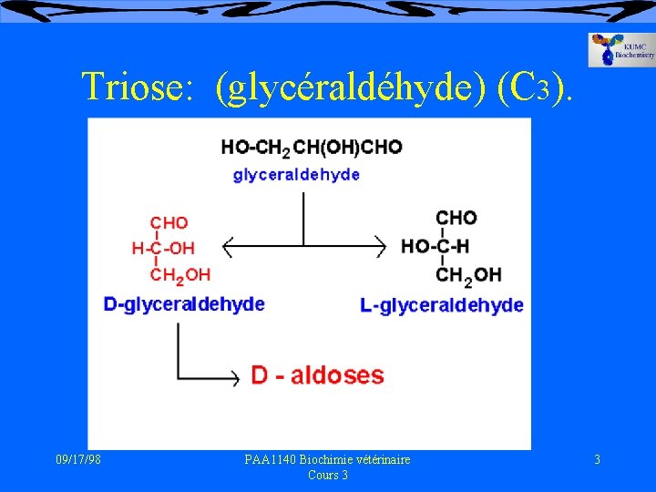 Triose: (glycéraldéhyde) (C 3). 09/17/98 PAA 1140 Biochimie vétérinaire Cours 3 3 