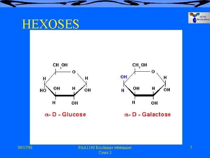 HEXOSES 09/17/98 PAA 1140 Biochimie vétérinaire Cours 3 7 