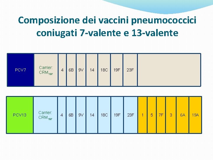 Composizione dei vaccini pneumococcici coniugati 7 -valente e 13 -valente PCV 7 Carrier: CRM