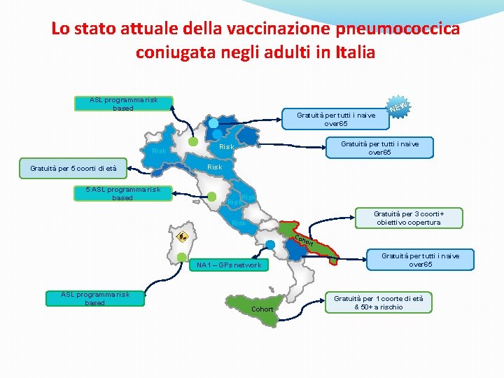 Lo stato attuale della vaccinazione pneumococcica coniugata negli adulti in Italia ASL programma risk