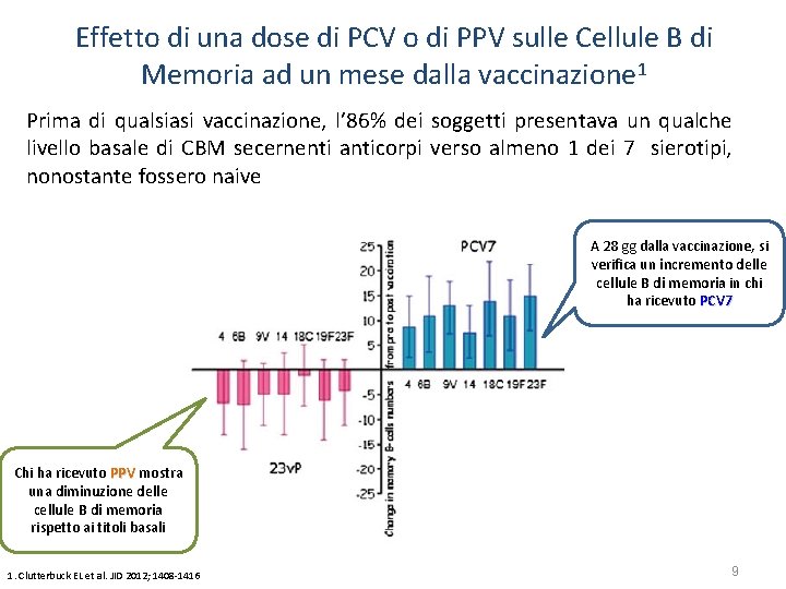 Effetto di una dose di PCV o di PPV sulle Cellule B di Memoria