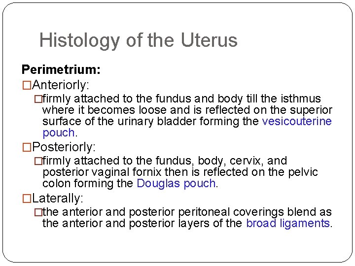 Histology of the Uterus Perimetrium: �Anteriorly: �firmly attached to the fundus and body till