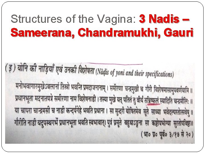 Structures of the Vagina: 3 Nadis – Sameerana, Chandramukhi, Gauri 