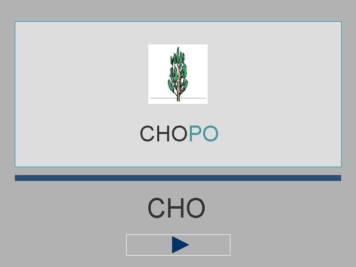CHOPO CHO 