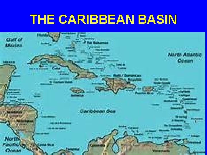 THE CARIBBEAN BASIN 