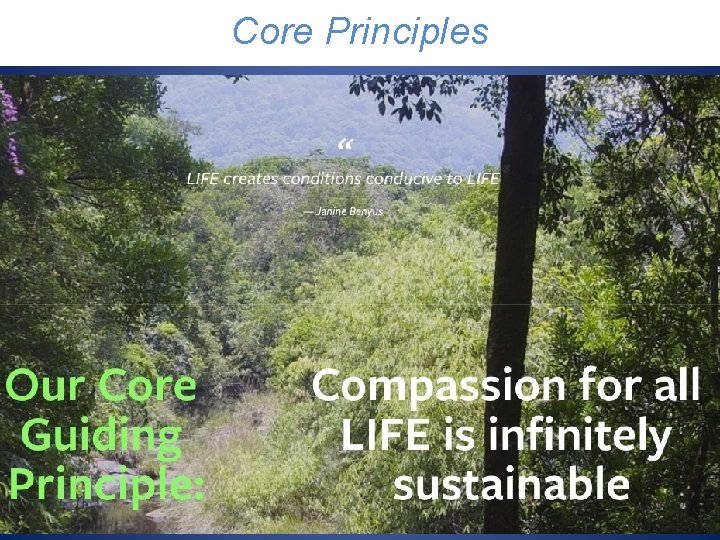 Core Principles 