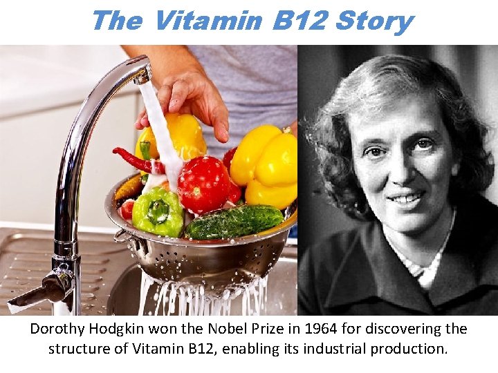 The Vitamin B 12 Story Dorothy Hodgkin won the Nobel Prize in 1964 for