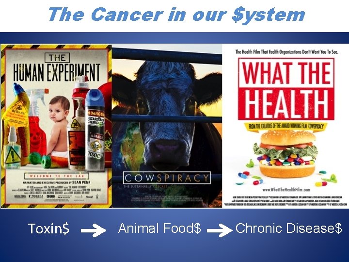 Artificial Growth The Cancer in our. Model $ystem Toxin$ Animal Food$ Chronic Disease$ 