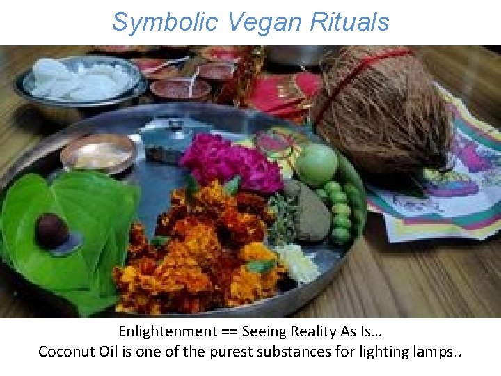 Three Possible Futures Humanity Symbolic Veganfor Rituals Enlightenment == Seeing Reality As Is… Coconut