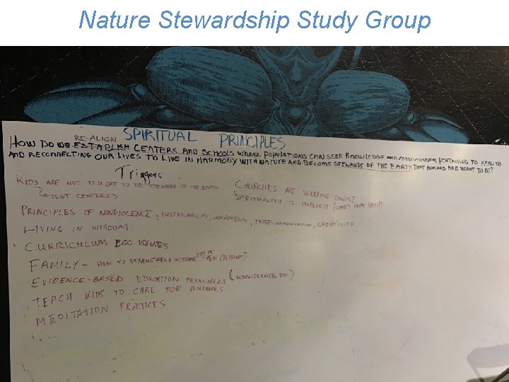Nature Stewardship Group Three Possible Futures. Study for Humanity 