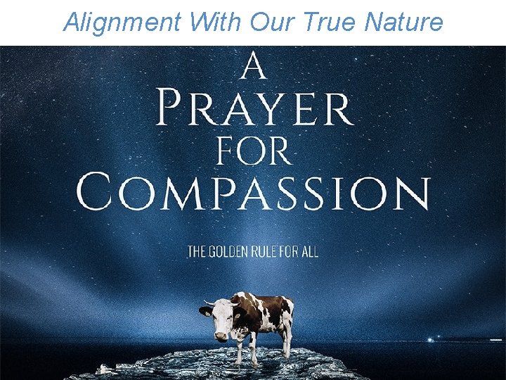 Alignment With Our True Nature 