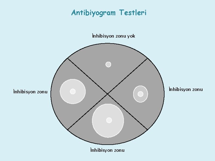 Antibiyogram Testleri İnhibisyon zonu yok İnhibisyon zonu 