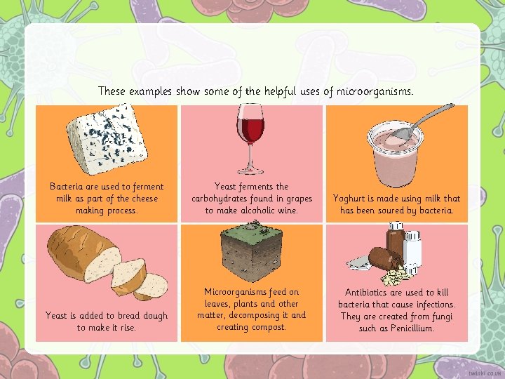 These examples show some of the helpful uses of microorganisms. Bacteria are used to