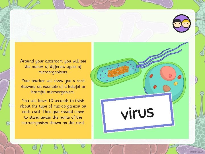 Around your classroom you will see the names of different types of microorganisms. Your