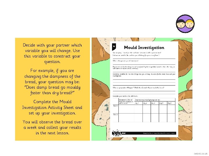 Decide with your partner which variable you will change. Use this variable to construct