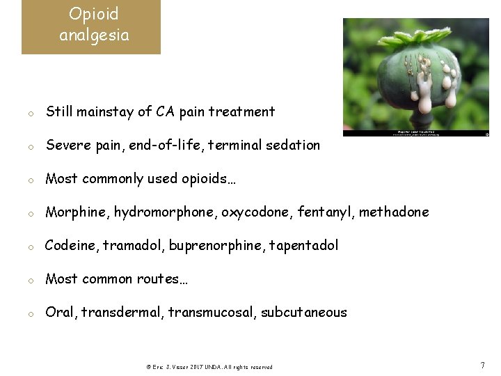 Opioid analgesia o Still mainstay of CA pain treatment o Severe pain, end-of-life, terminal