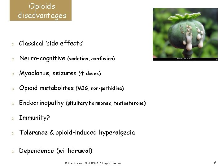 Opioids disadvantages o Classical ‘side effects’ o Neuro-cognitive o Myoclonus, seizures o Opioid metabolites