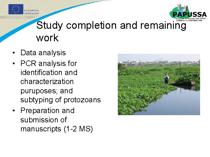 Study completion and remaining work • Data analysis • PCR analysis for identification and