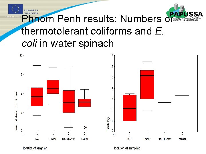 Phnom Penh results: Numbers of thermotolerant coliforms and E. coli in water spinach 