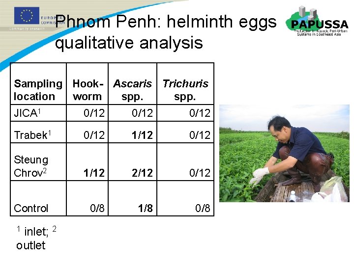 Phnom Penh: helminth eggs qualitative analysis Sampling Hook- Ascaris Trichuris location worm spp. JICA