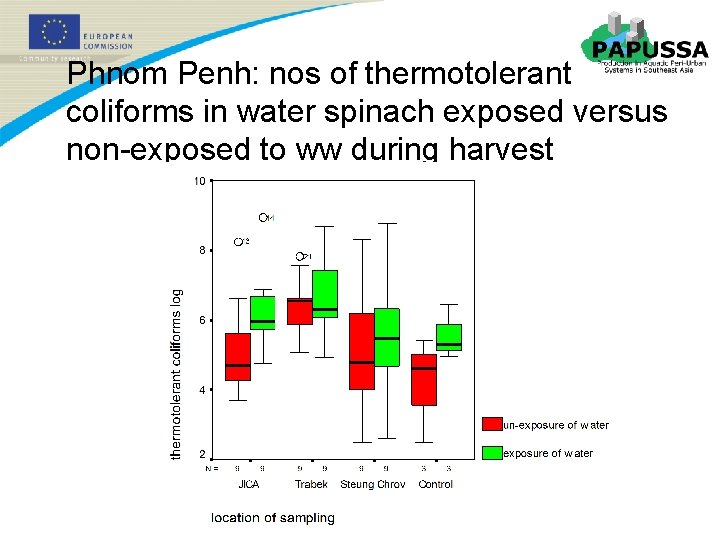 Phnom Penh: nos of thermotolerant coliforms in water spinach exposed versus non-exposed to ww