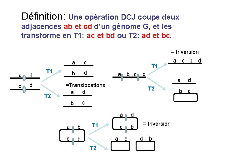 Définition: Une opération DCJ coupe deux adjacences ab et cd d’un génome G, et