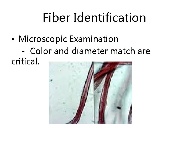 Fiber Identification • Microscopic Examination - Color and diameter match are critical. 