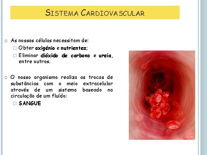 SISTEMA CARDIOVASCULAR As nossas células necessitam de: � Obter oxigénio e nutrientes; � Eliminar