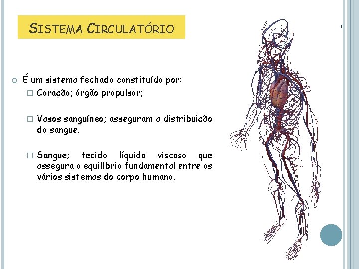 SISTEMA CIRCULATÓRIO É um sistema fechado constituído por: � Coração; Coração órgão propulsor; �