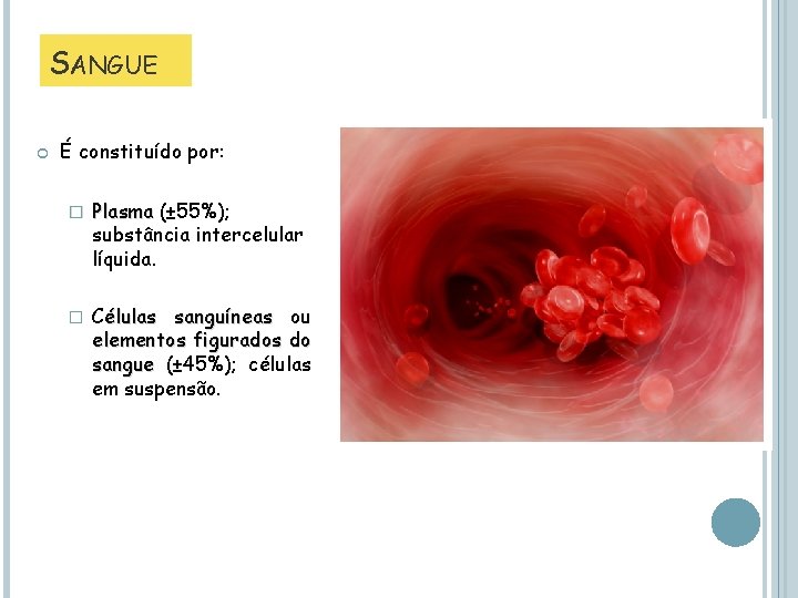 SANGUE É constituído por: � Plasma (± 55%); substância intercelular líquida. � Células sanguíneas