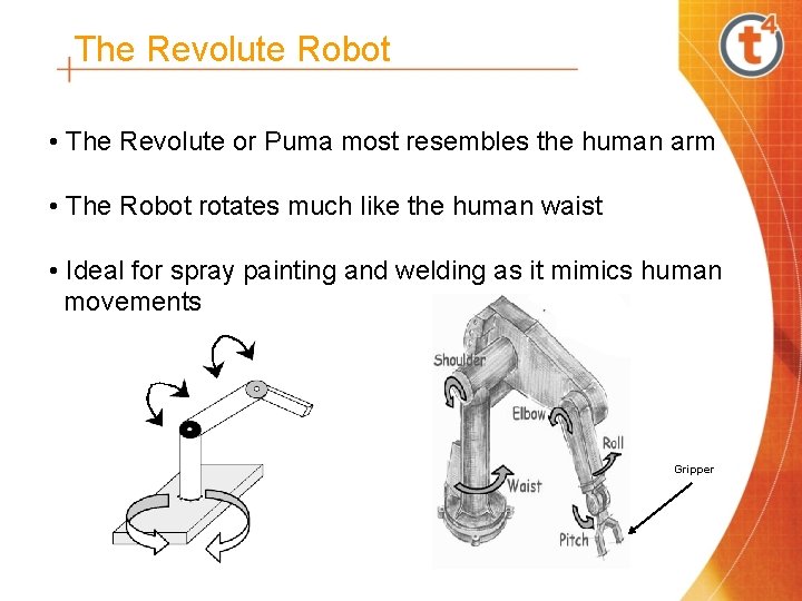 The Revolute Robot • The Revolute or Puma most resembles the human arm •