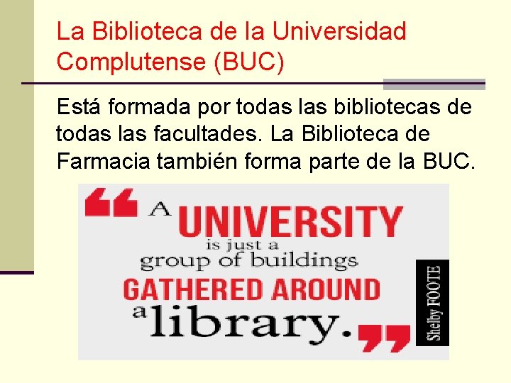 La Biblioteca de la Universidad Complutense (BUC) Está formada por todas las bibliotecas de