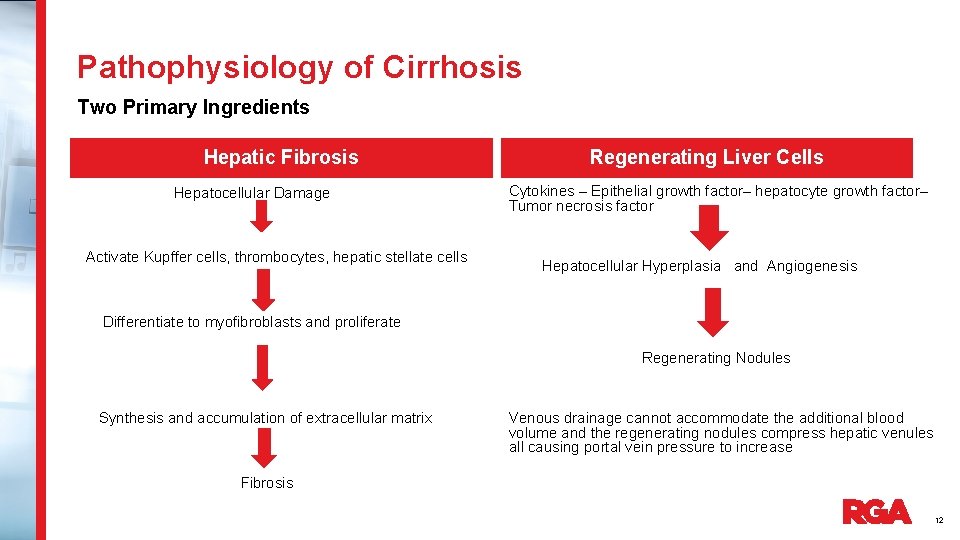 Pathophysiology of Cirrhosis Two Primary Ingredients Hepatic Fibrosis Hepatocellular Damage Activate Kupffer cells, thrombocytes,