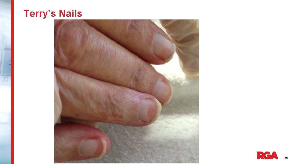 Terry’s Nails 23 
