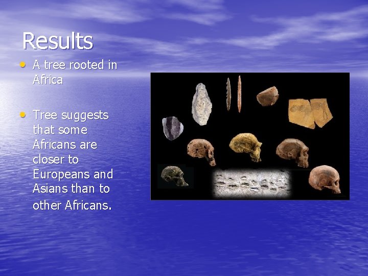 Results • A tree rooted in Africa • Tree suggests that some Africans are Results • A tree rooted in Africa • Tree suggests that some Africans are