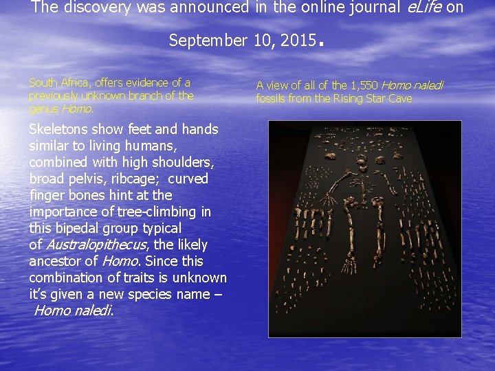 The discovery was announced in the online journal e. Life on September 10, 2015 The discovery was announced in the online journal e. Life on September 10, 2015